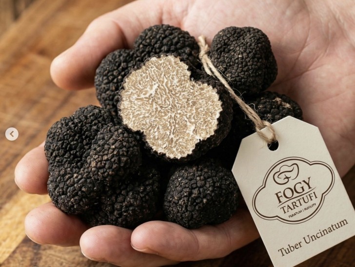 <br />
<b>Notice</b>:  Undefined variable: novice in <b>/home/odprtaku/public_html/dogodki/dogodek.php</b> on line <b>209</b><br />
