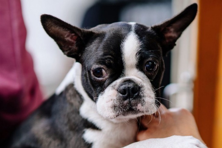 <br />
<b>Notice</b>: Undefined index: foto_alt in <b>/home/odprtaku/public_html/novice/blog-infinite.php</b> on line <b>124</b><br />