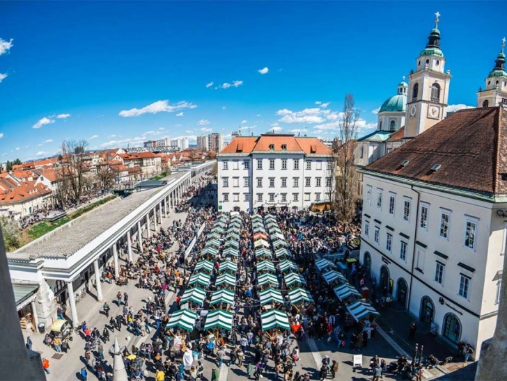 <br />
<b>Notice</b>:  Undefined index: foto_alt in <b>/home/odprtaku/public_html/novice/blog-infinite.php</b> on line <b>124</b><br />
