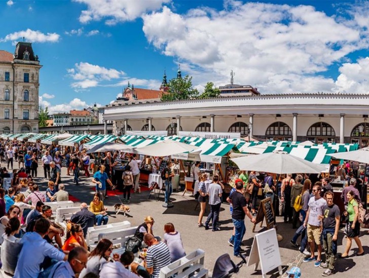 <br />
<b>Notice</b>:  Undefined index: foto_alt in <b>/home/odprtaku/public_html/novice/blog-infinite.php</b> on line <b>124</b><br />
