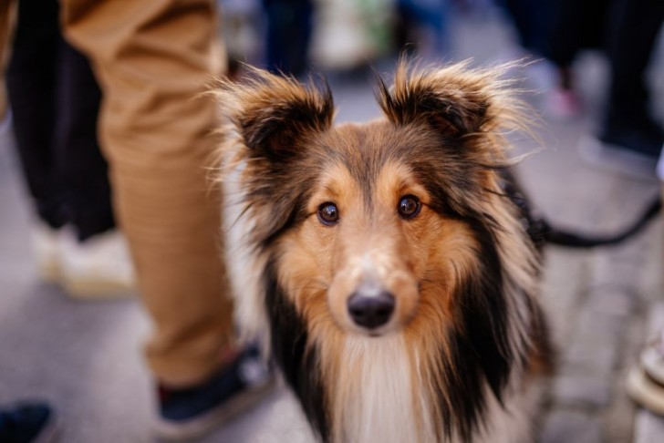 <br />
<b>Notice</b>: Undefined index: foto_alt in <b>/home/odprtaku/public_html/novice/blog-infinite.php</b> on line <b>124</b><br />