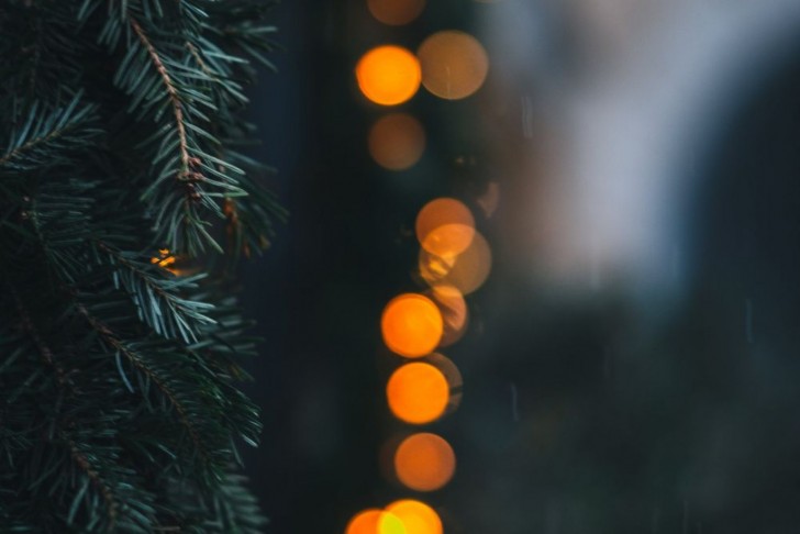 <br />
<b>Notice</b>: Undefined index: foto_alt in <b>/home/odprtaku/public_html/novice/blog-infinite.php</b> on line <b>124</b><br />