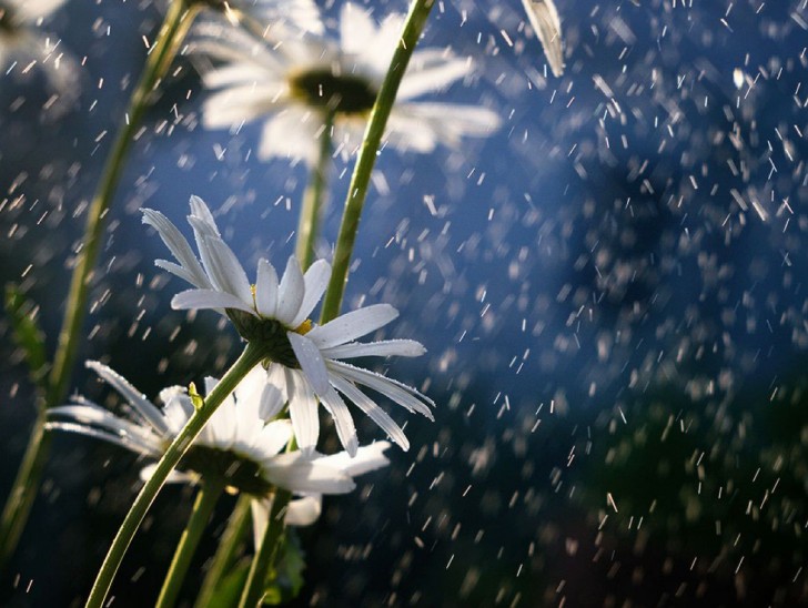 <br />
<b>Notice</b>:  Undefined index: foto_alt in <b>/home/odprtaku/public_html/novice/blog-infinite.php</b> on line <b>124</b><br />
