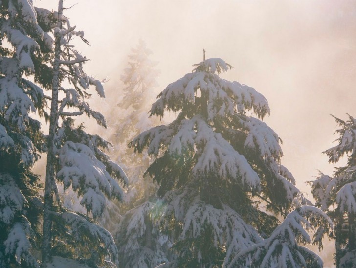 <br />
<b>Notice</b>:  Undefined index: foto_alt in <b>/home/odprtaku/public_html/novice/blog-infinite.php</b> on line <b>124</b><br />
