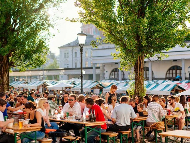 <br />
<b>Notice</b>:  Undefined index: foto_alt in <b>/home/odprtaku/public_html/novice/blog-infinite.php</b> on line <b>124</b><br />
