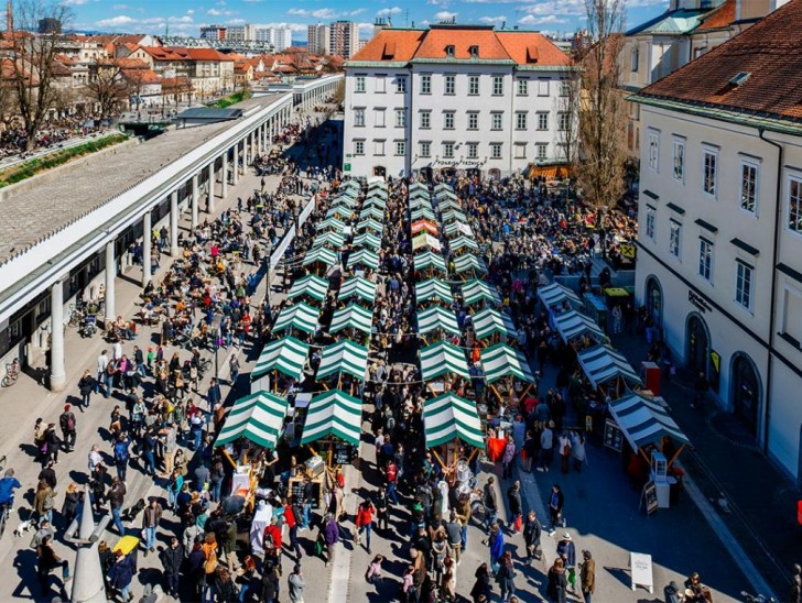 <br />
<b>Notice</b>:  Undefined index: foto_alt in <b>/home/odprtaku/public_html/novice/blog-infinite.php</b> on line <b>124</b><br />
