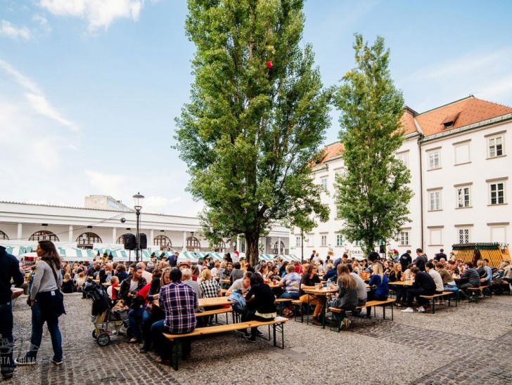 <br />
<b>Notice</b>:  Undefined index: foto_alt in <b>/home/odprtaku/public_html/novice/blog-infinite.php</b> on line <b>124</b><br />
