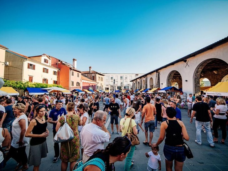 <br />
<b>Notice</b>:  Undefined index: foto_alt in <b>/home/odprtaku/public_html/novice/blog-infinite.php</b> on line <b>124</b><br />
