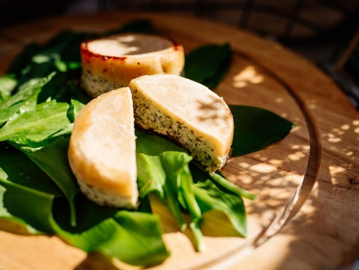 <br />
<b>Notice</b>:  Undefined index: foto_alt in <b>/home/odprtaku/public_html/novice/blog-infinite.php</b> on line <b>124</b><br />
