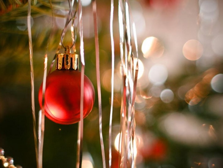 <br />
<b>Notice</b>:  Undefined index: foto_alt in <b>/home/odprtaku/public_html/novice/blog-infinite.php</b> on line <b>124</b><br />
