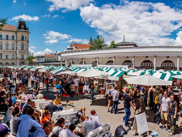 <br />
<b>Notice</b>:  Undefined index: foto_alt in <b>/home/odprtaku/public_html/novice/blog-infinite.php</b> on line <b>124</b><br />
