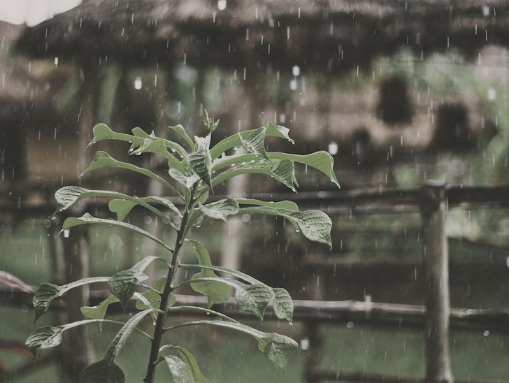 <br />
<b>Notice</b>:  Undefined index: foto_alt in <b>/home/odprtaku/public_html/novice/blog-infinite.php</b> on line <b>124</b><br />
