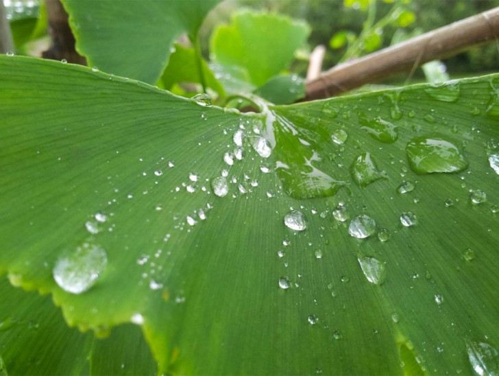 <br />
<b>Notice</b>:  Undefined index: foto_alt in <b>/home/odprtaku/public_html/novice/blog-infinite.php</b> on line <b>124</b><br />
