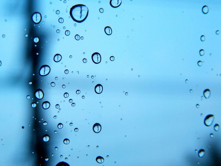 <br />
<b>Notice</b>:  Undefined index: foto_alt in <b>/home/odprtaku/public_html/novice/blog-infinite.php</b> on line <b>124</b><br />
